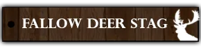 Fallo Deer Stag Hunting