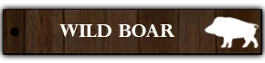 Wild Boar Hunting