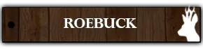 Roebuck hunting