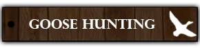 Goose Hunting